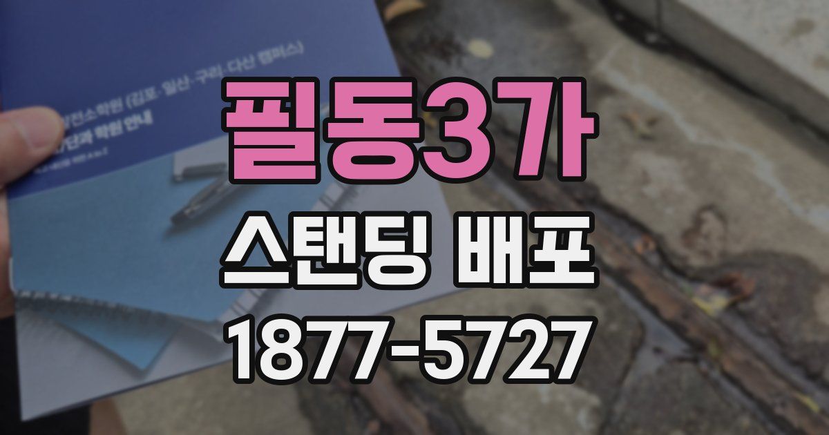 필동3가 스탠딩 배포