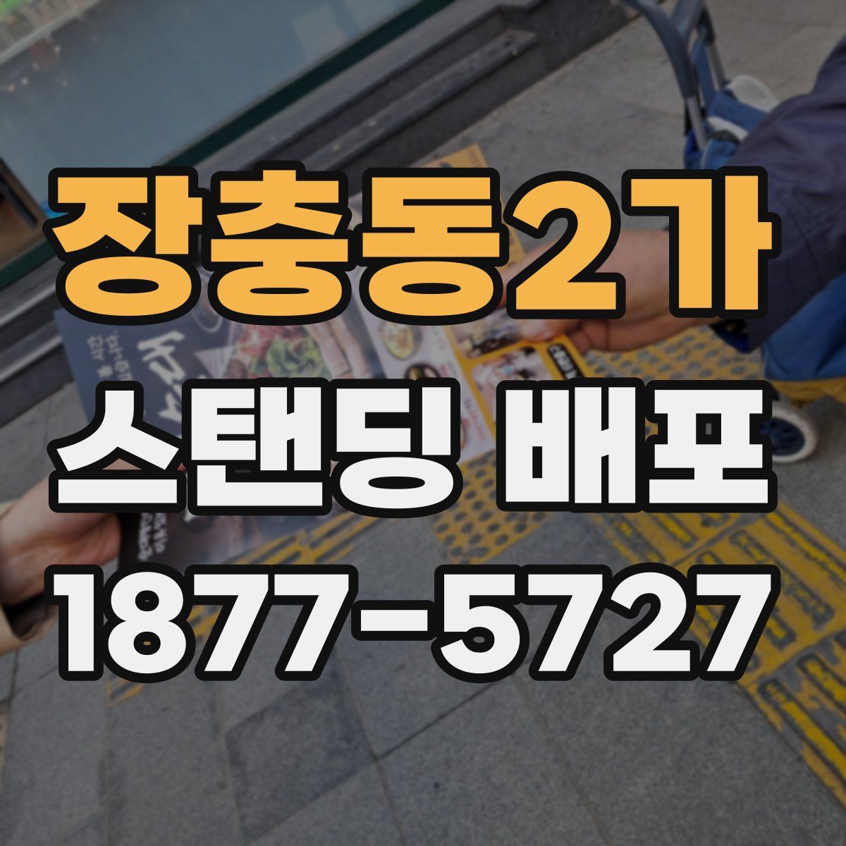 장충동2가 스탠딩 배포