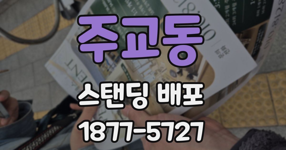 주교동 스탠딩 배포
