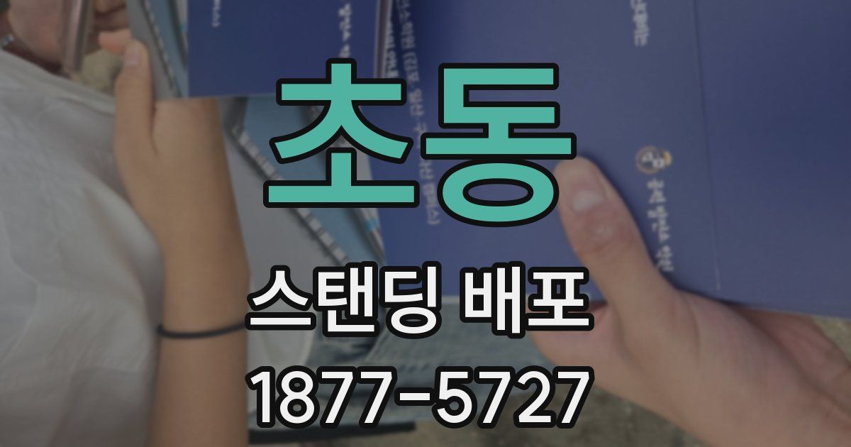 초동 스탠딩 배포