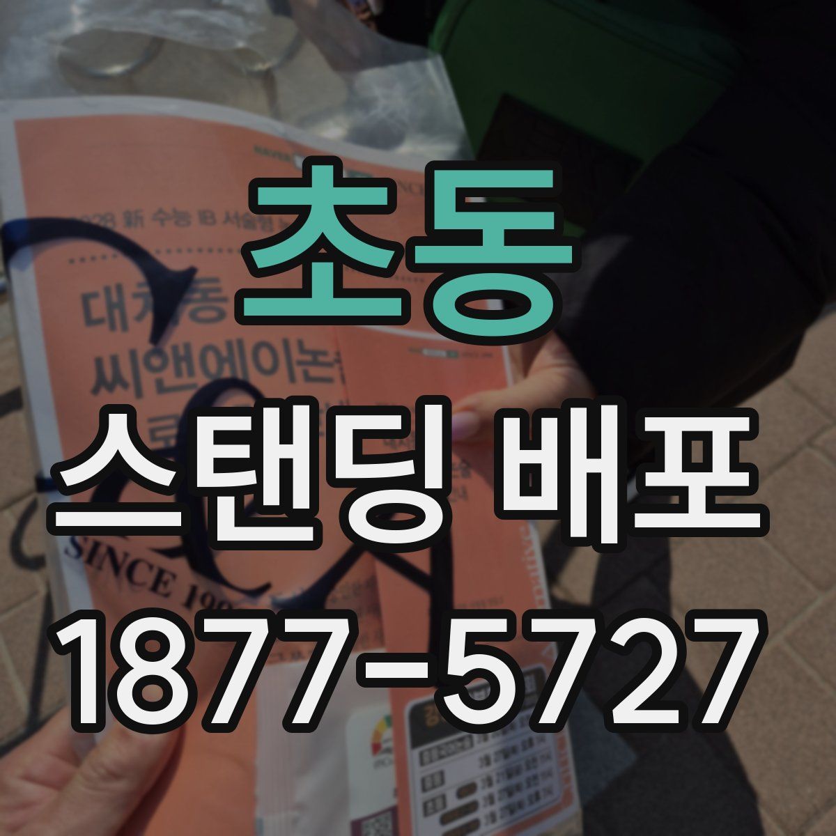 초동 스탠딩 배포