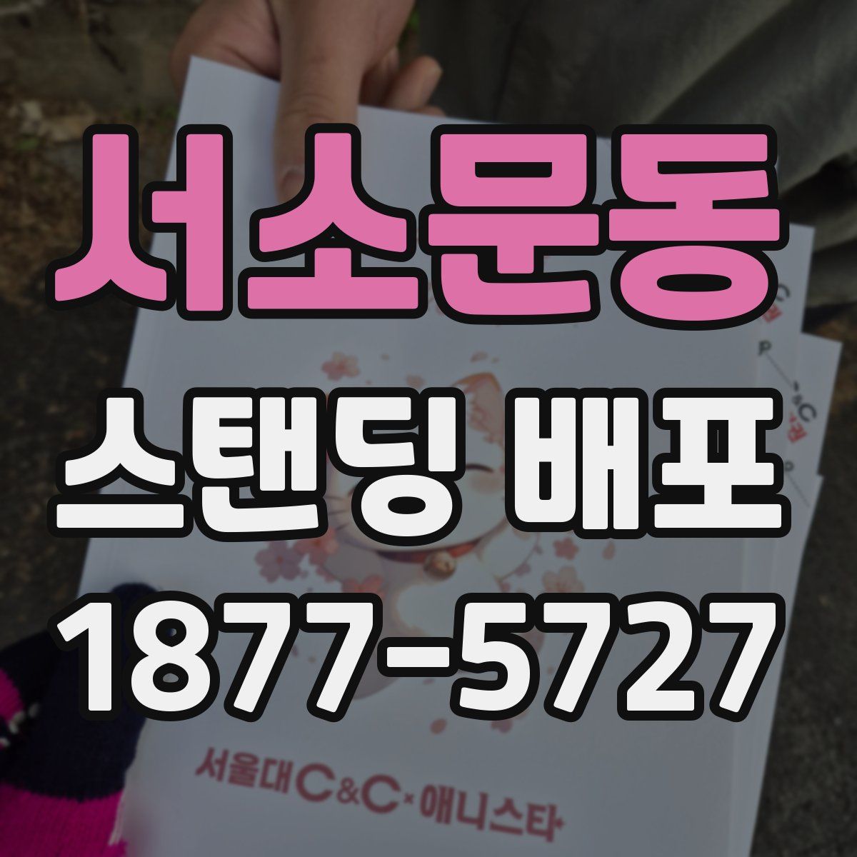 서소문동 스탠딩 배포