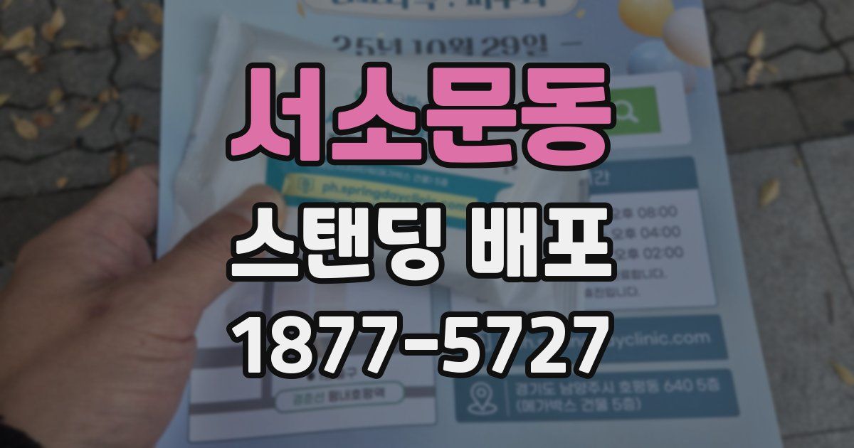 서소문동 스탠딩 배포
