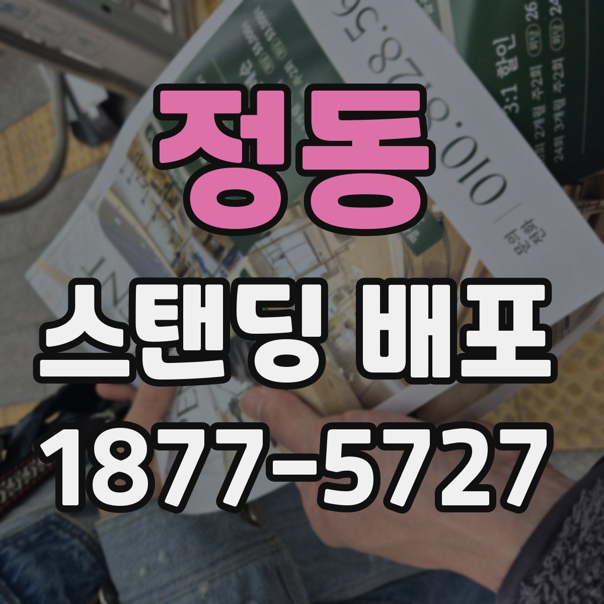 정동 스탠딩 배포