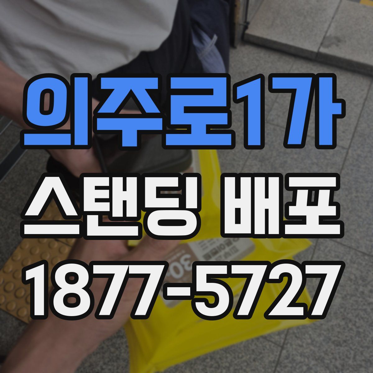 의주로1가 스탠딩 배포