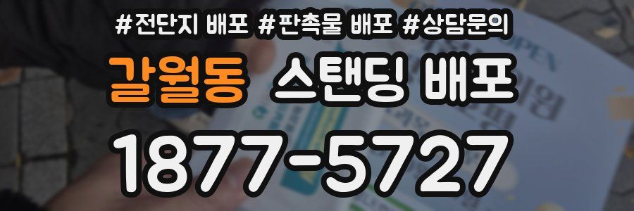 갈월동 스탠딩 배포