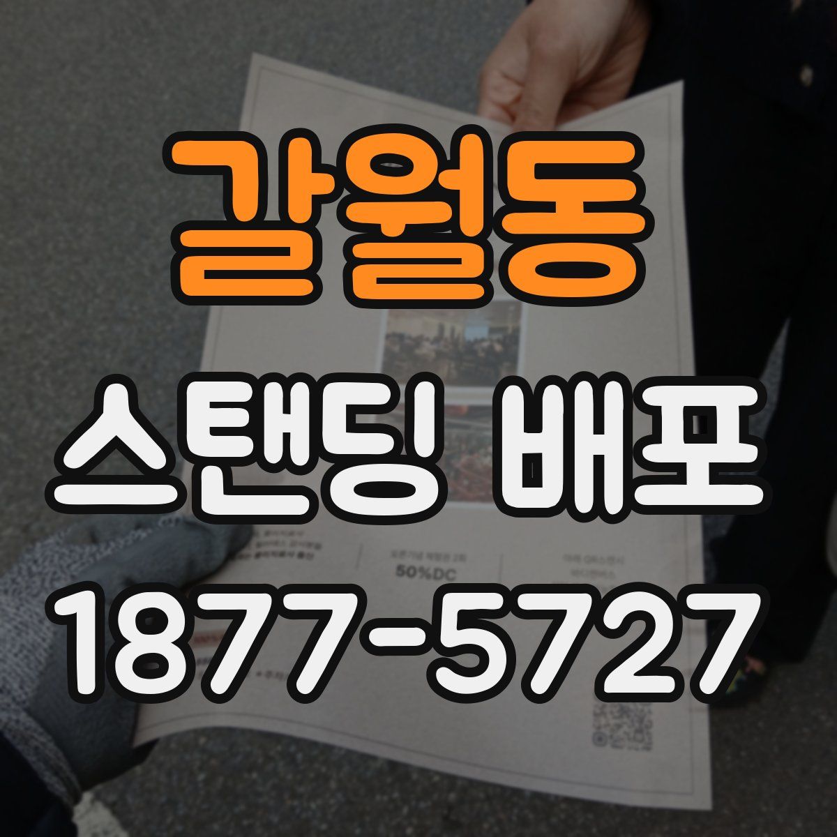 갈월동 스탠딩 배포