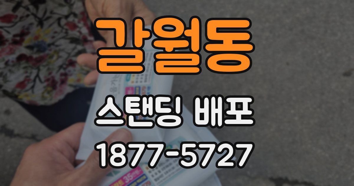 갈월동 스탠딩 배포