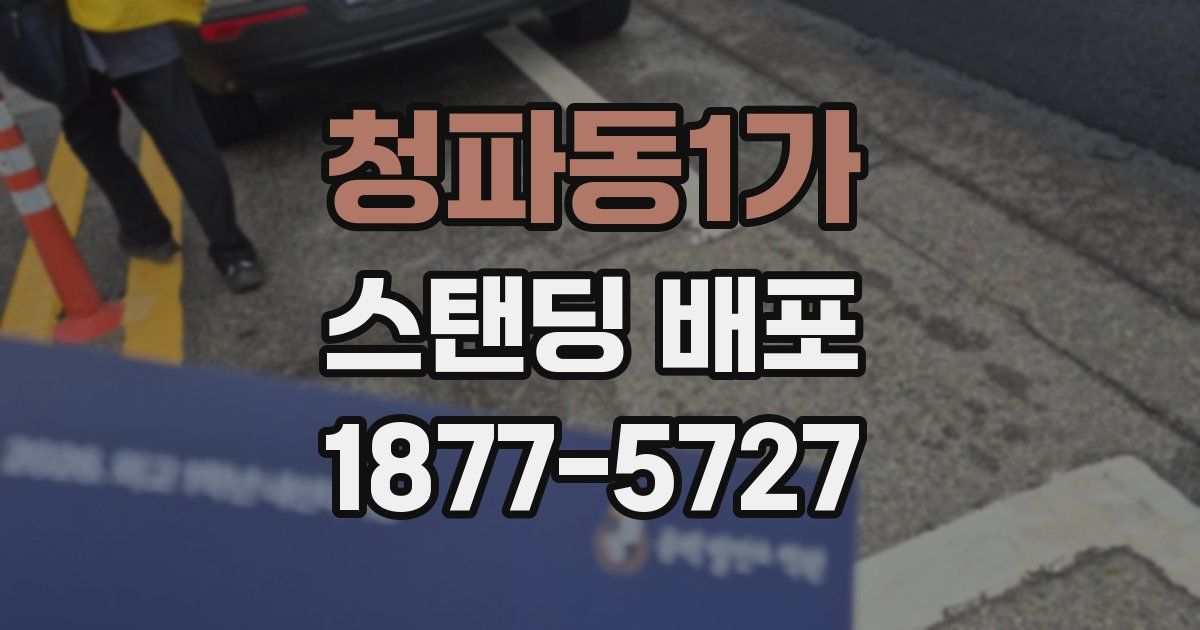 청파동1가 스탠딩 배포