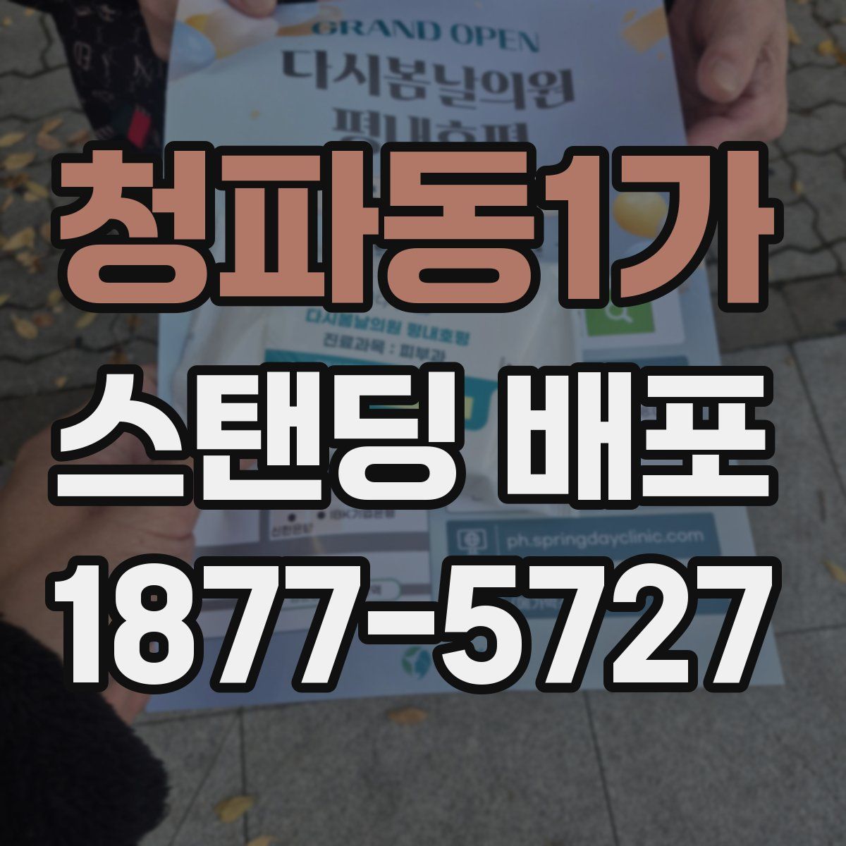 청파동1가 스탠딩 배포