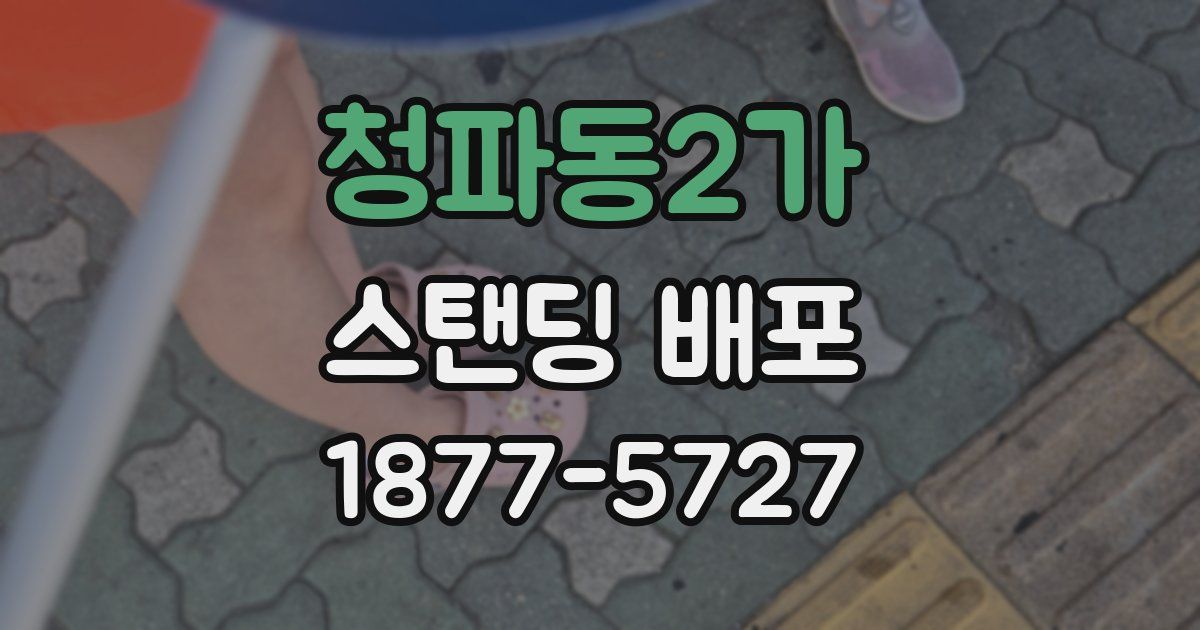 청파동2가 스탠딩 배포