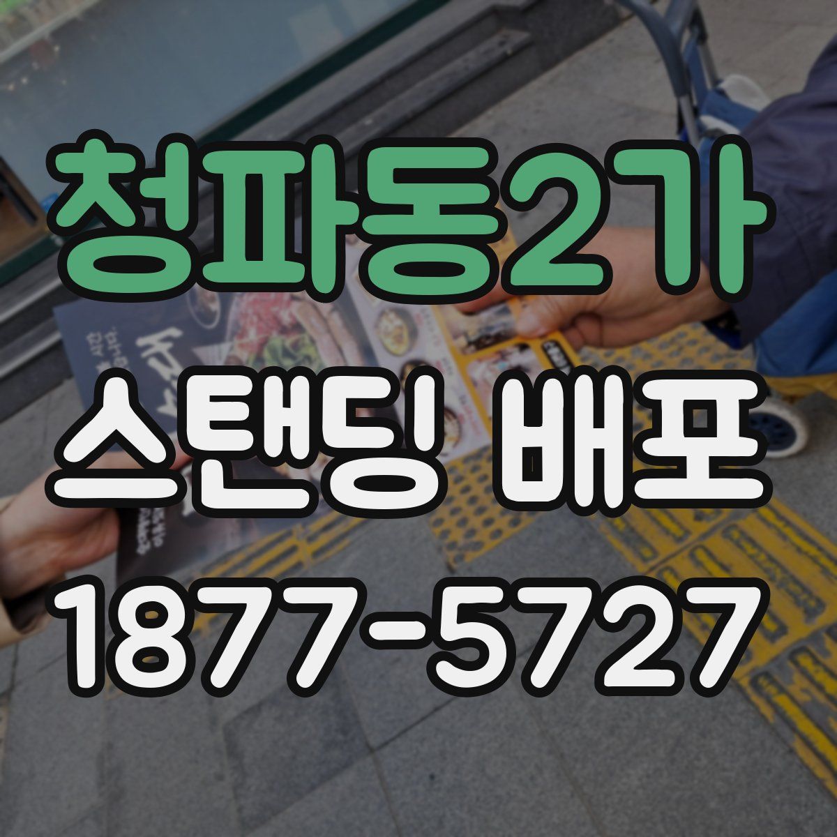 청파동2가 스탠딩 배포