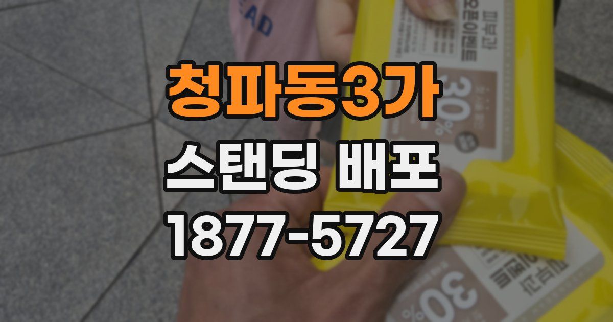 청파동3가 스탠딩 배포