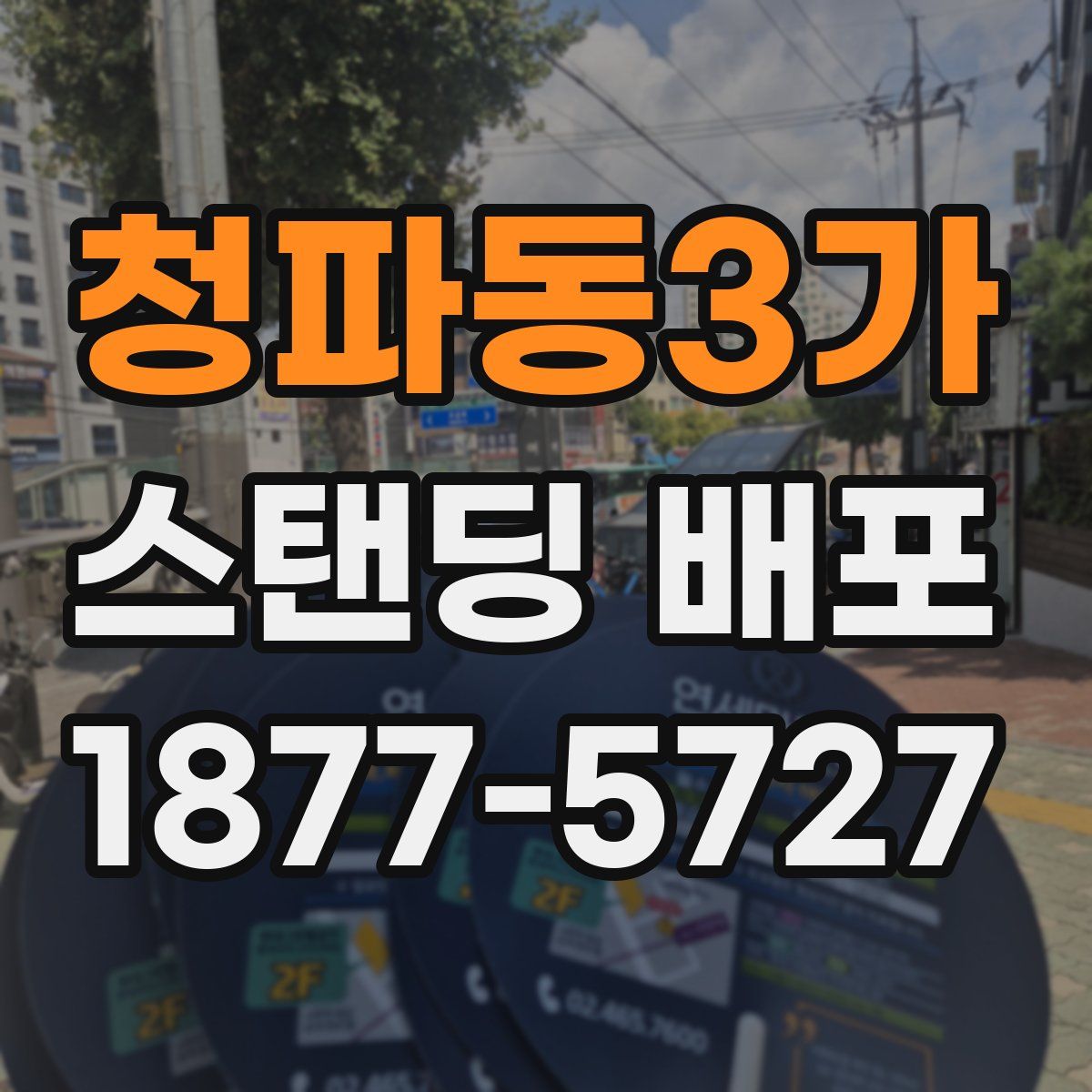 청파동3가 스탠딩 배포