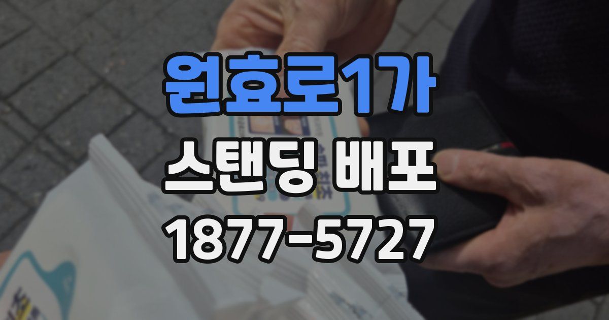 원효로1가 스탠딩 배포