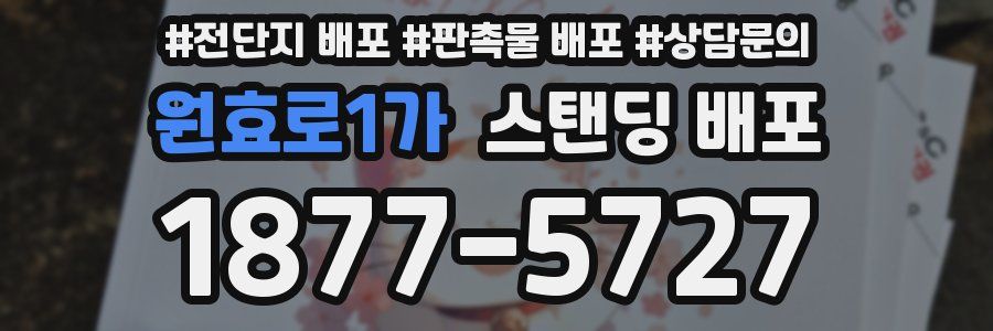 원효로1가 스탠딩 배포