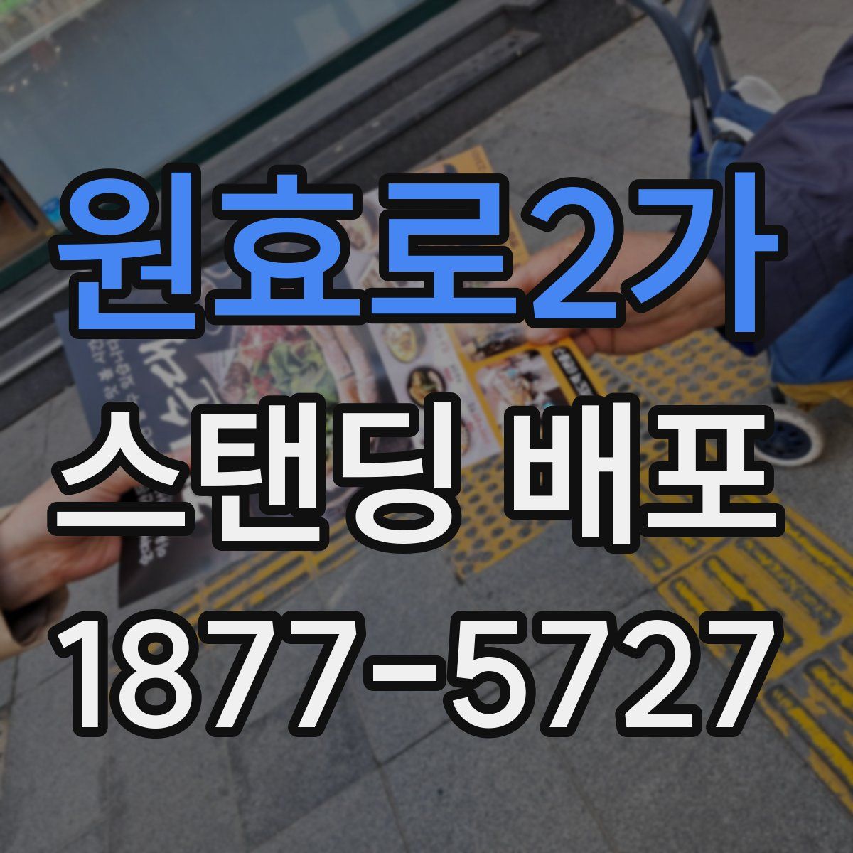 원효로2가 스탠딩 배포