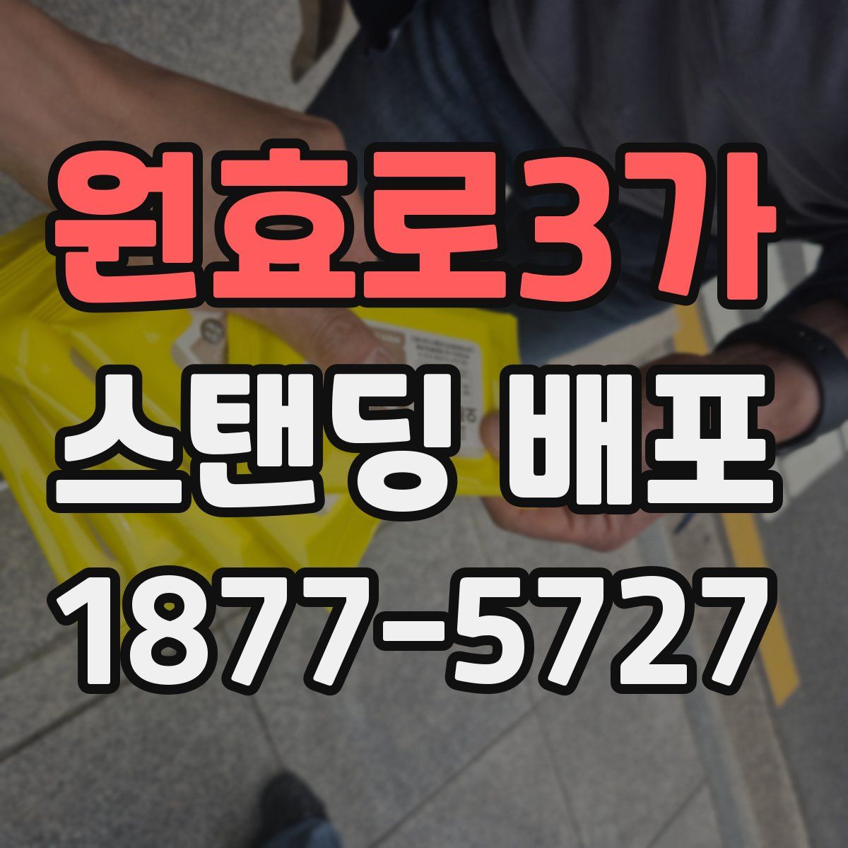 원효로3가 스탠딩 배포