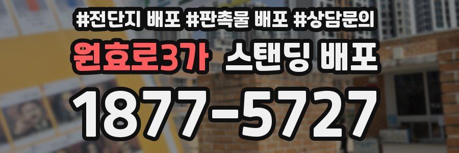 원효로3가 스탠딩 배포