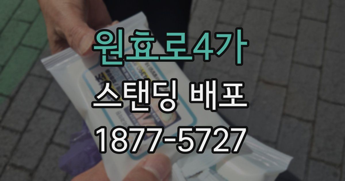 원효로4가 스탠딩 배포