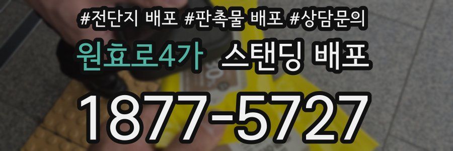 원효로4가 스탠딩 배포