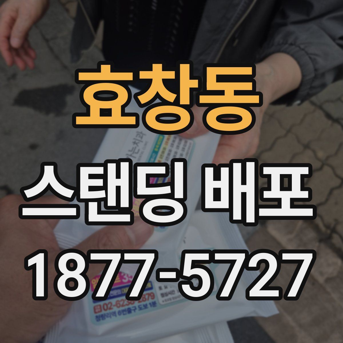 효창동 스탠딩 배포