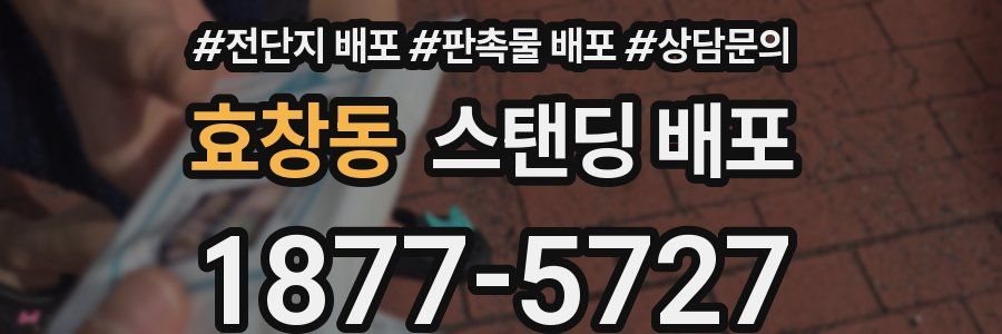 효창동 스탠딩 배포