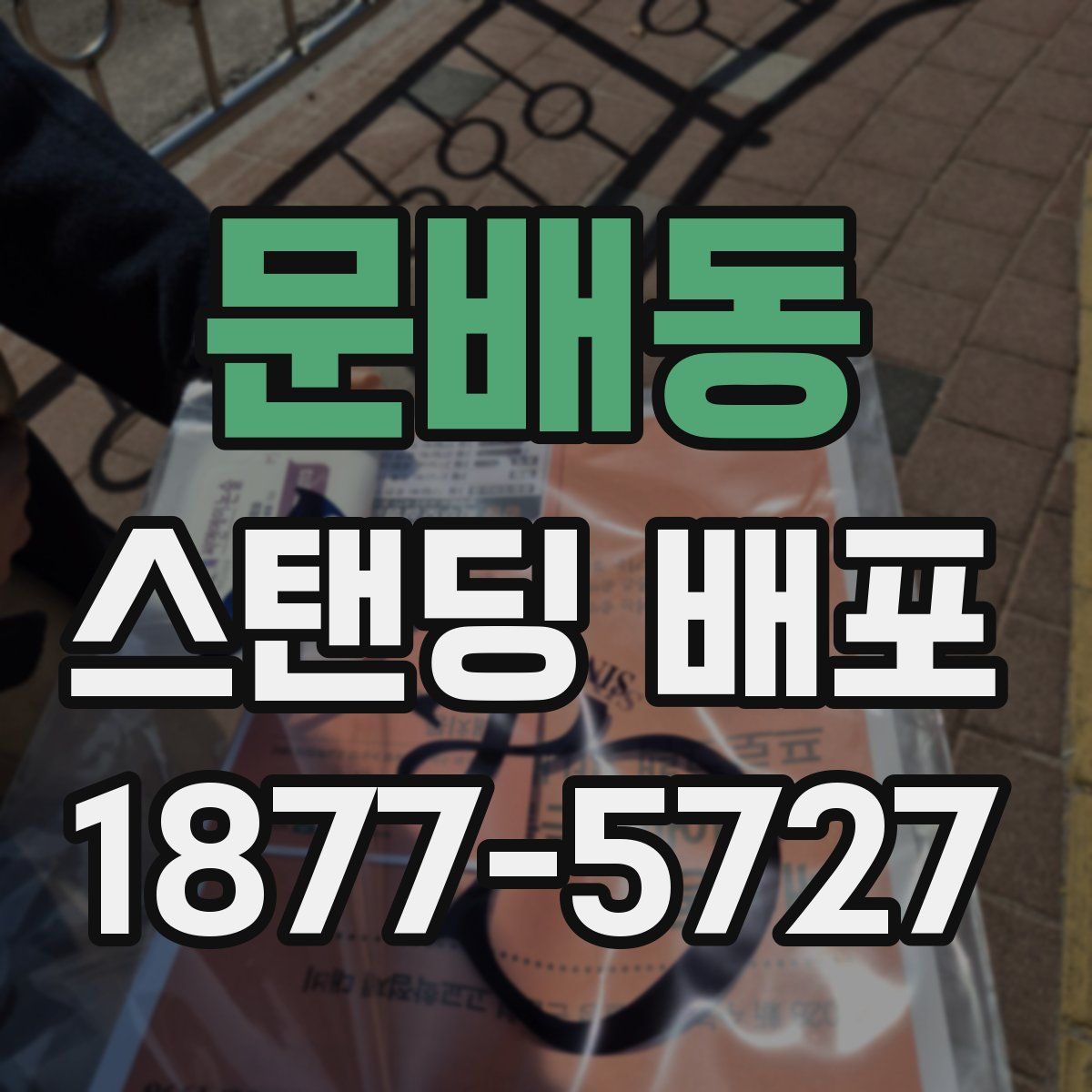 문배동 스탠딩 배포