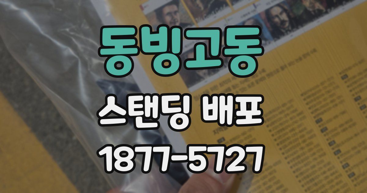 동빙고동 스탠딩 배포