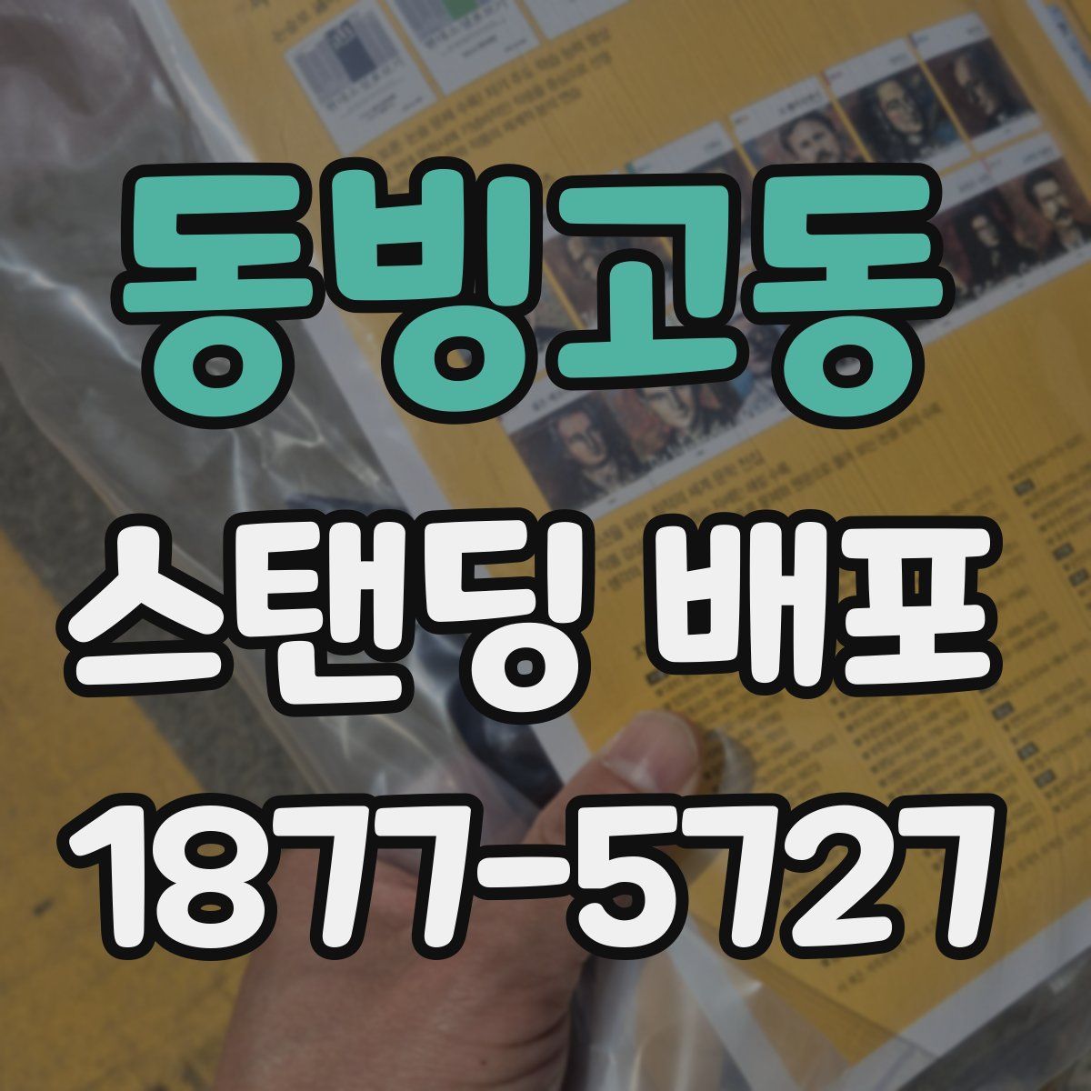 동빙고동 스탠딩 배포