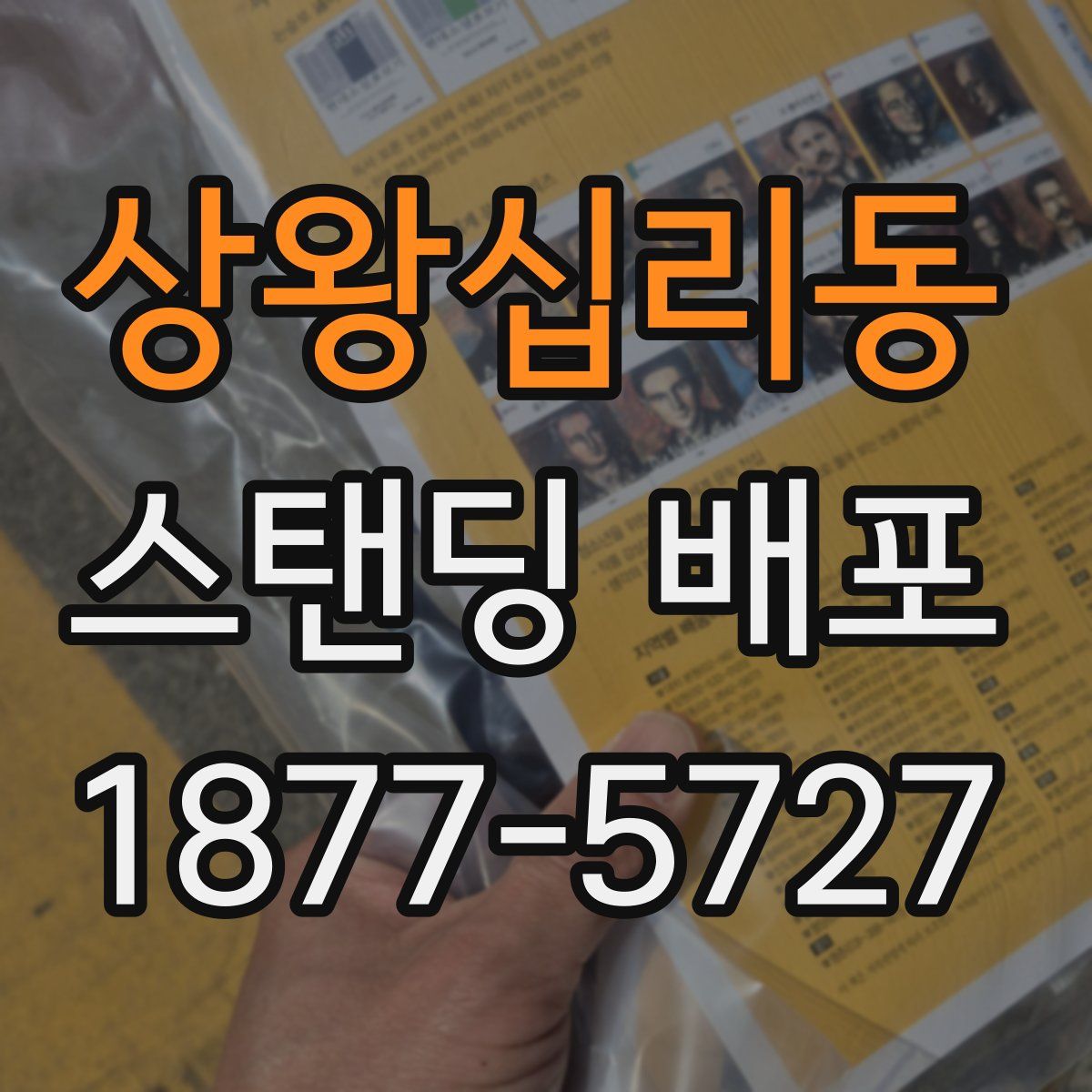 상왕십리동 스탠딩 배포