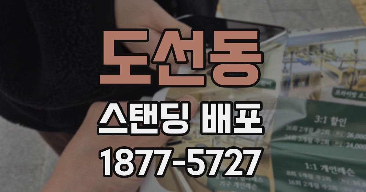 도선동 스탠딩 배포