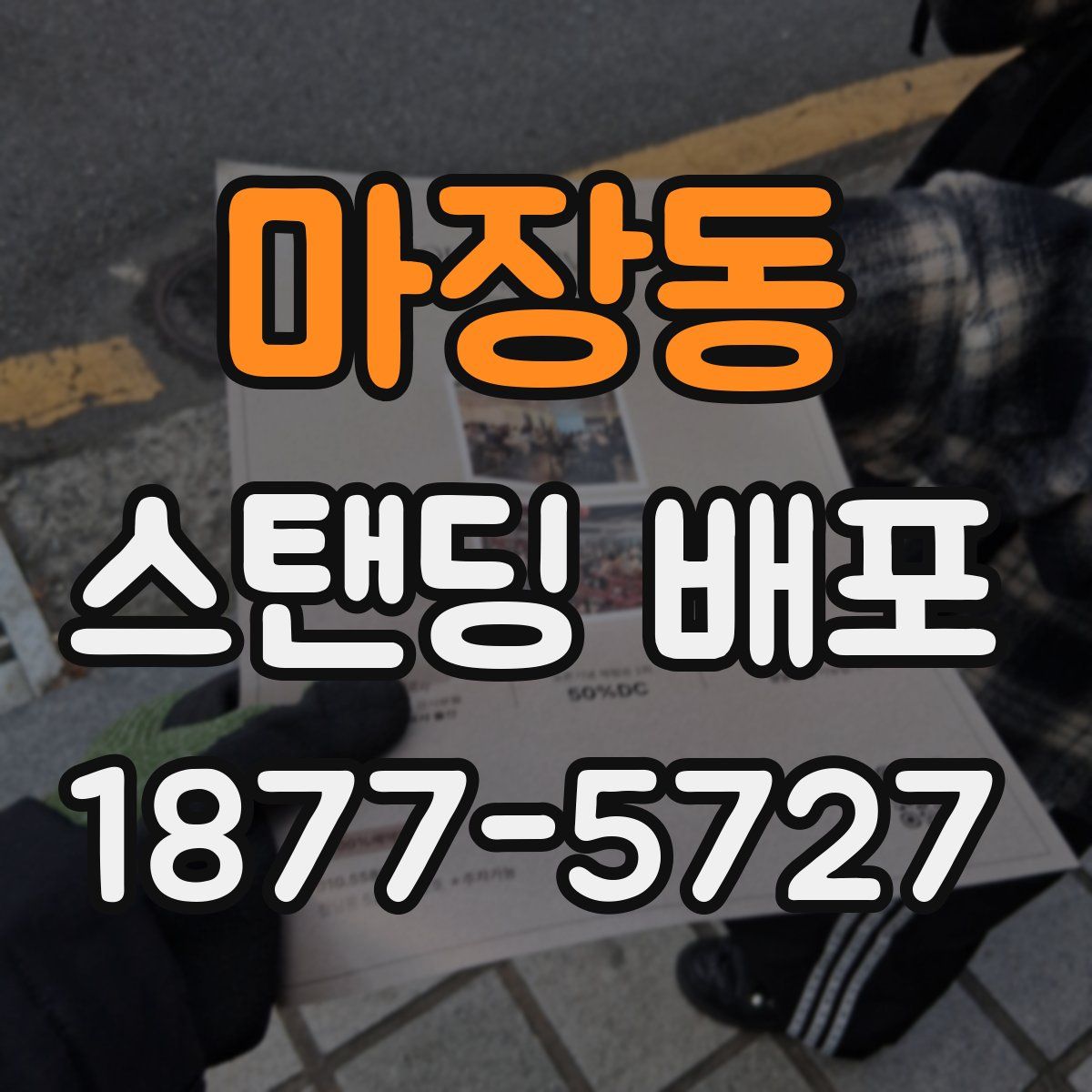 마장동 스탠딩 배포
