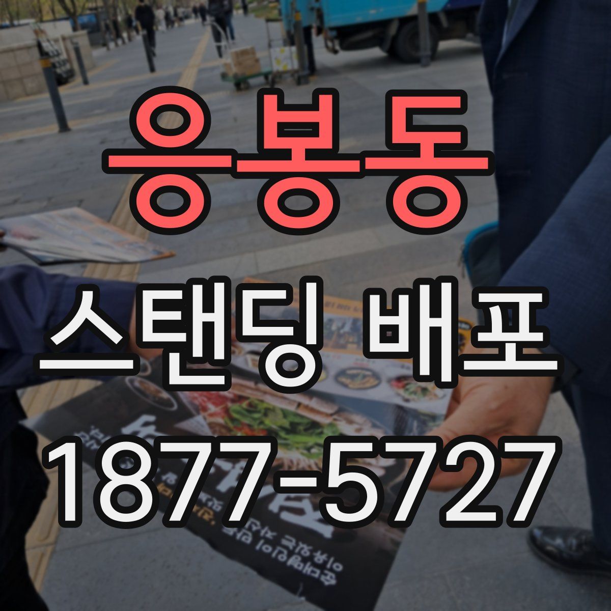 응봉동 스탠딩 배포