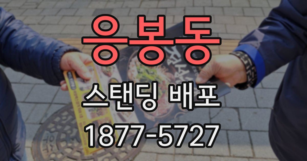 응봉동 스탠딩 배포