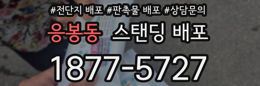 응봉동 스탠딩 배포