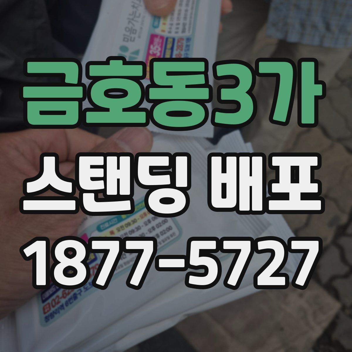 금호동3가 스탠딩 배포