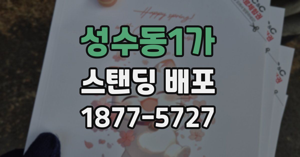 성수동1가 스탠딩 배포