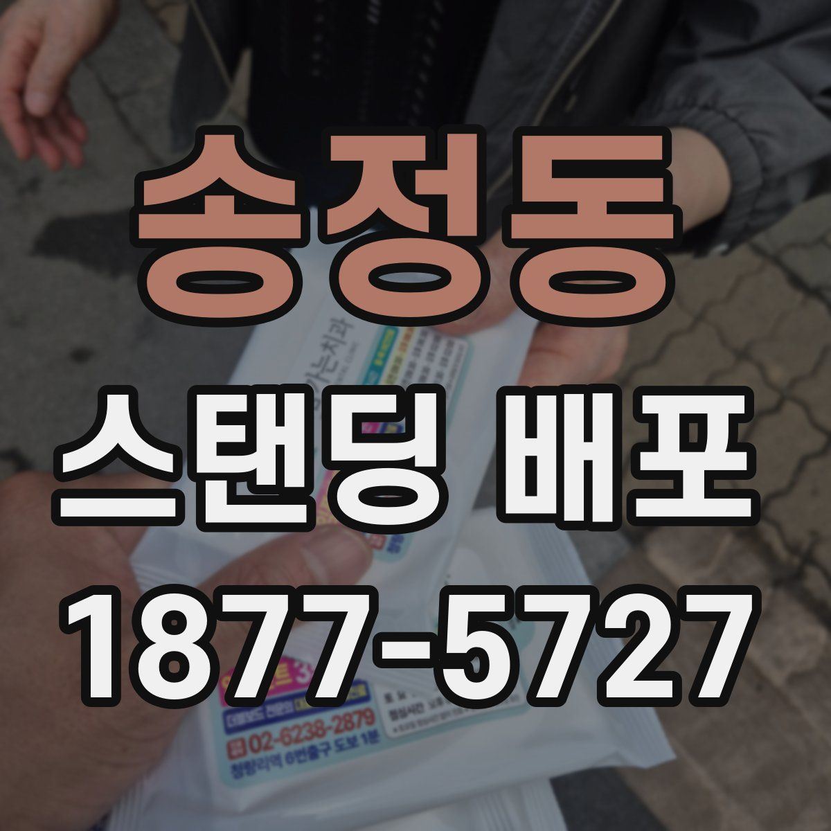 송정동 스탠딩 배포