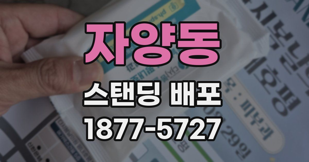 자양동 스탠딩 배포