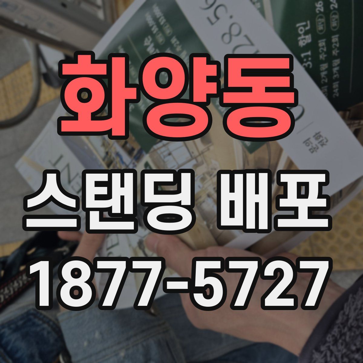 화양동 스탠딩 배포