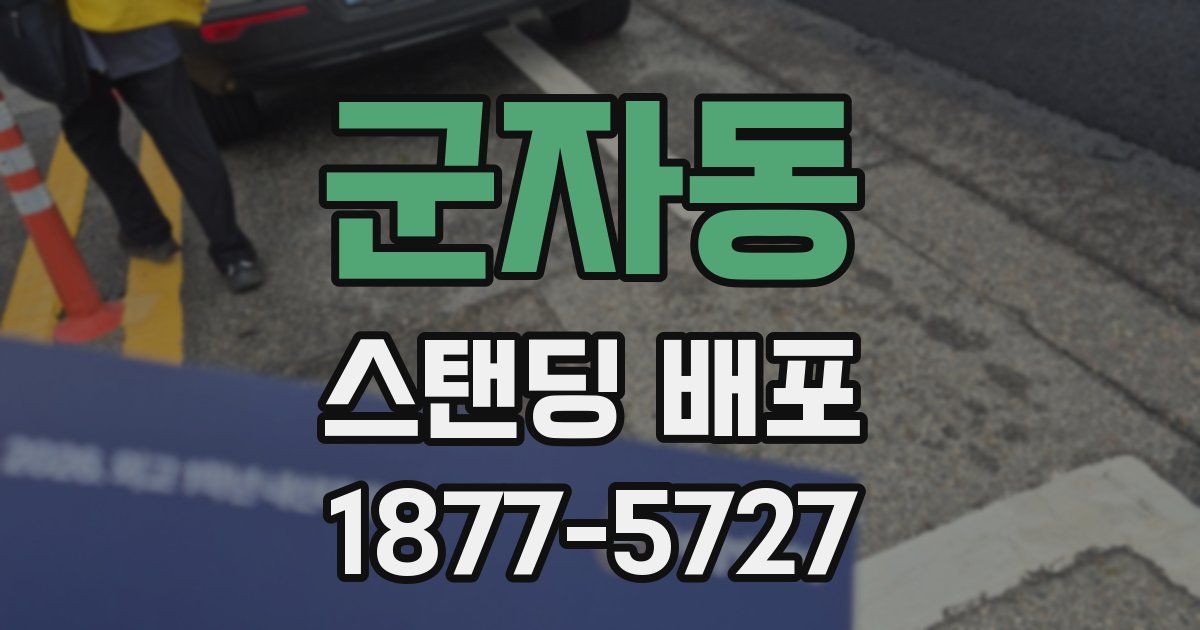 군자동 스탠딩 배포