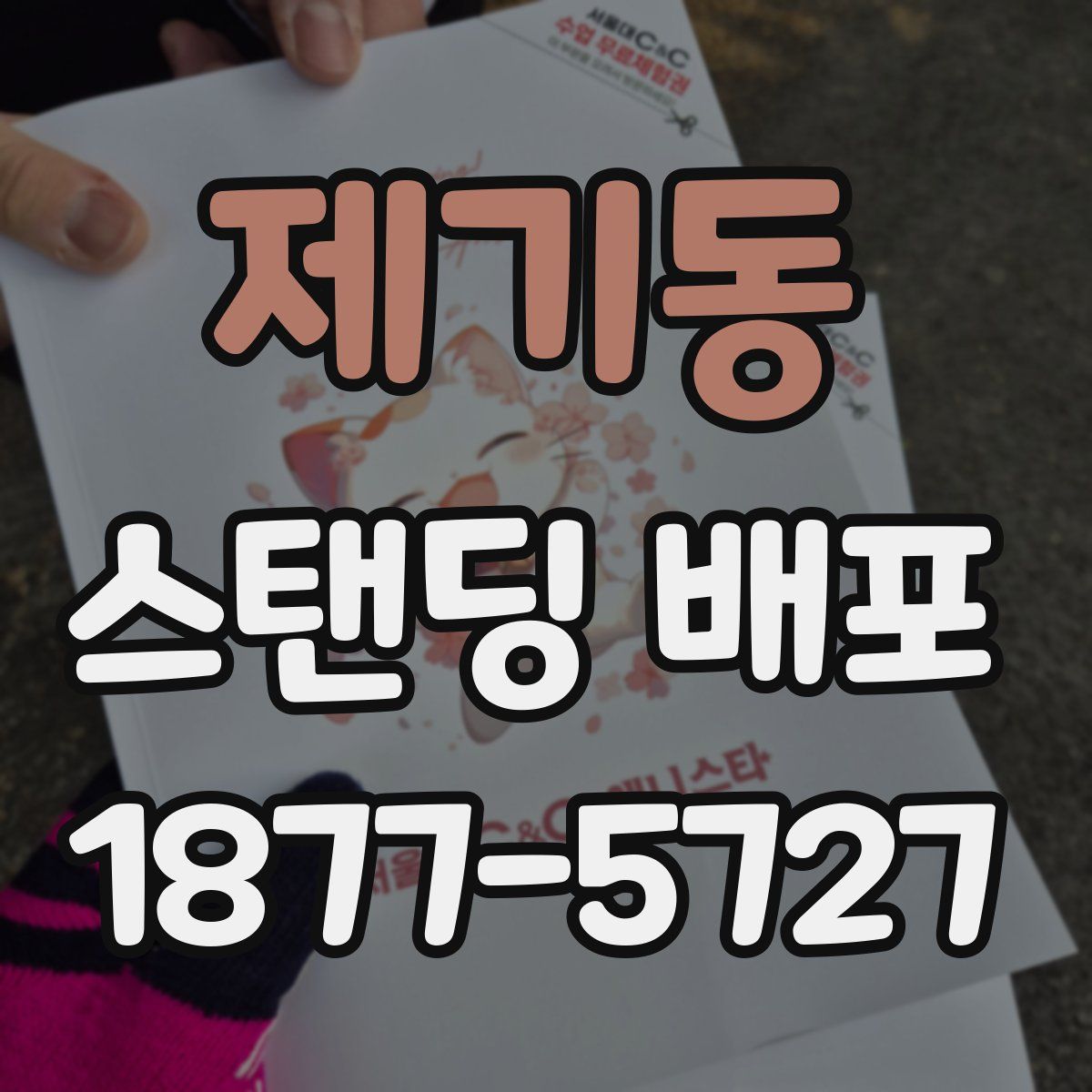 제기동 스탠딩 배포