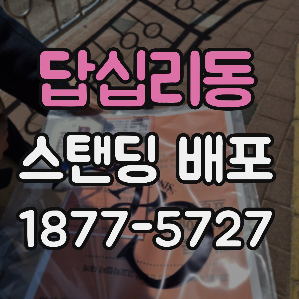 답십리동 스탠딩 배포