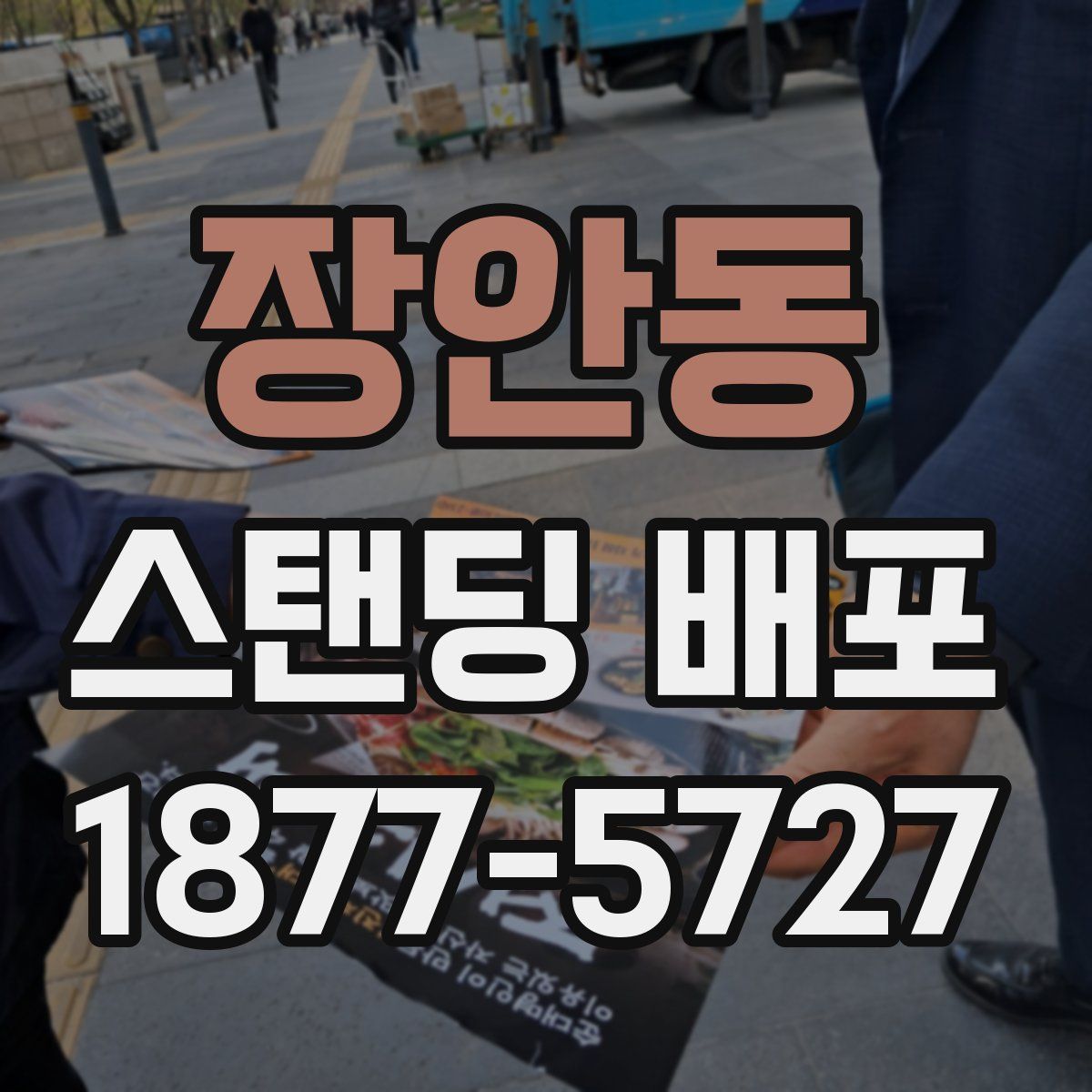 장안동 스탠딩 배포