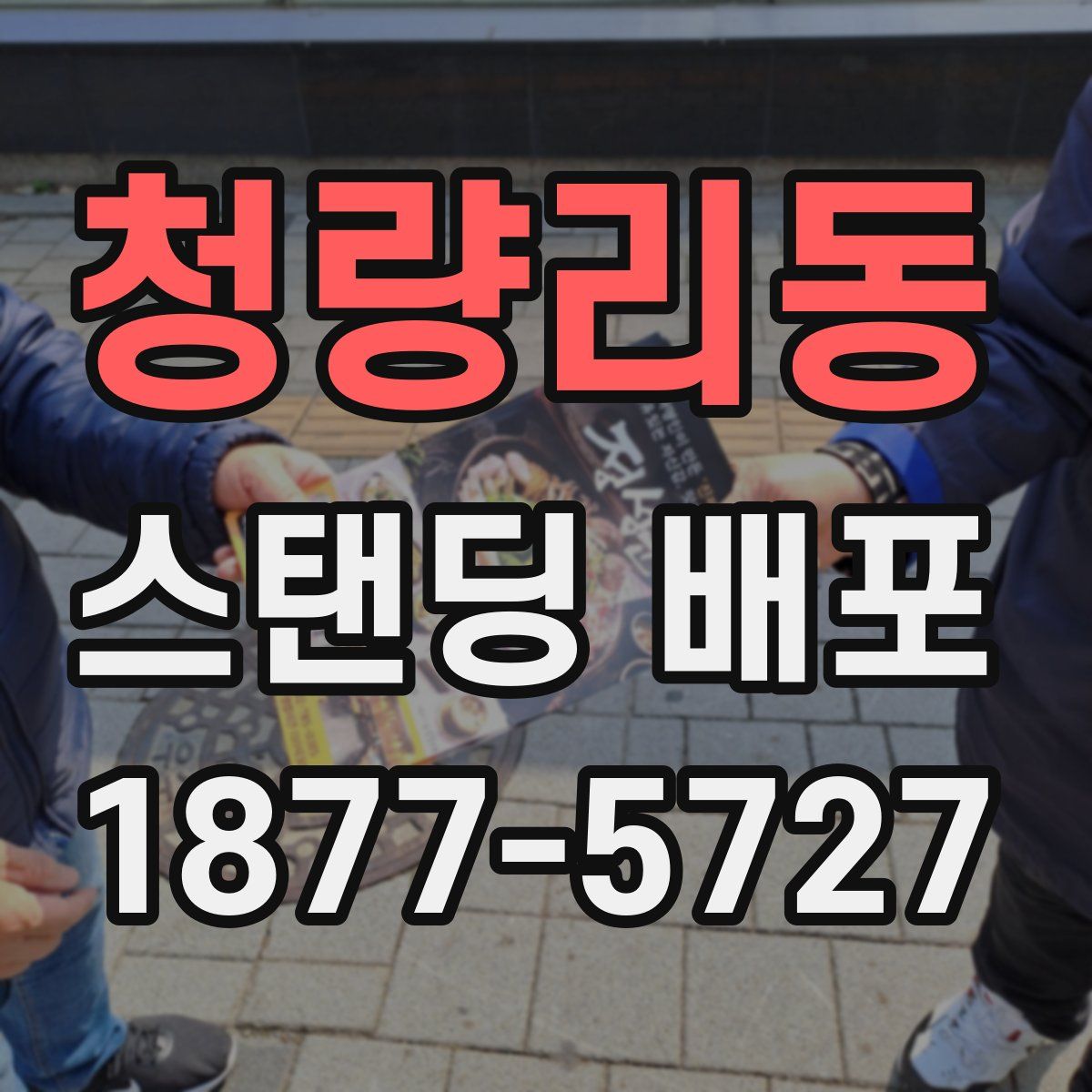 청량리동 스탠딩 배포
