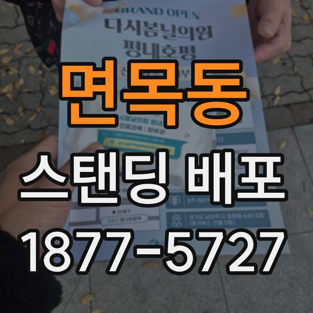 면목동 스탠딩 배포