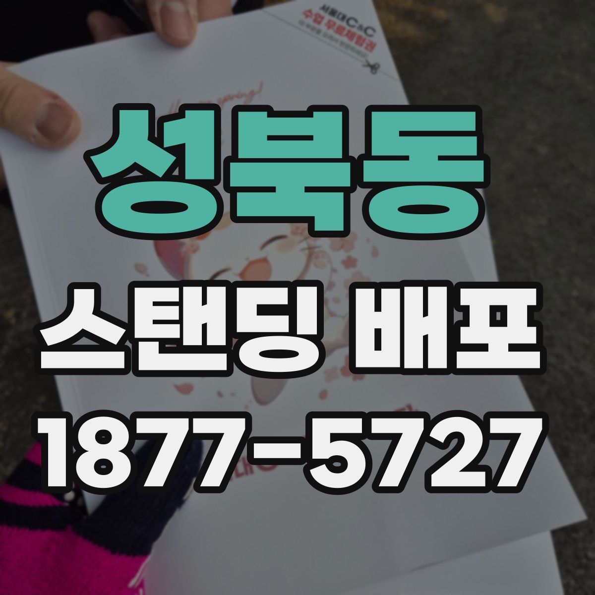 성북동 스탠딩 배포