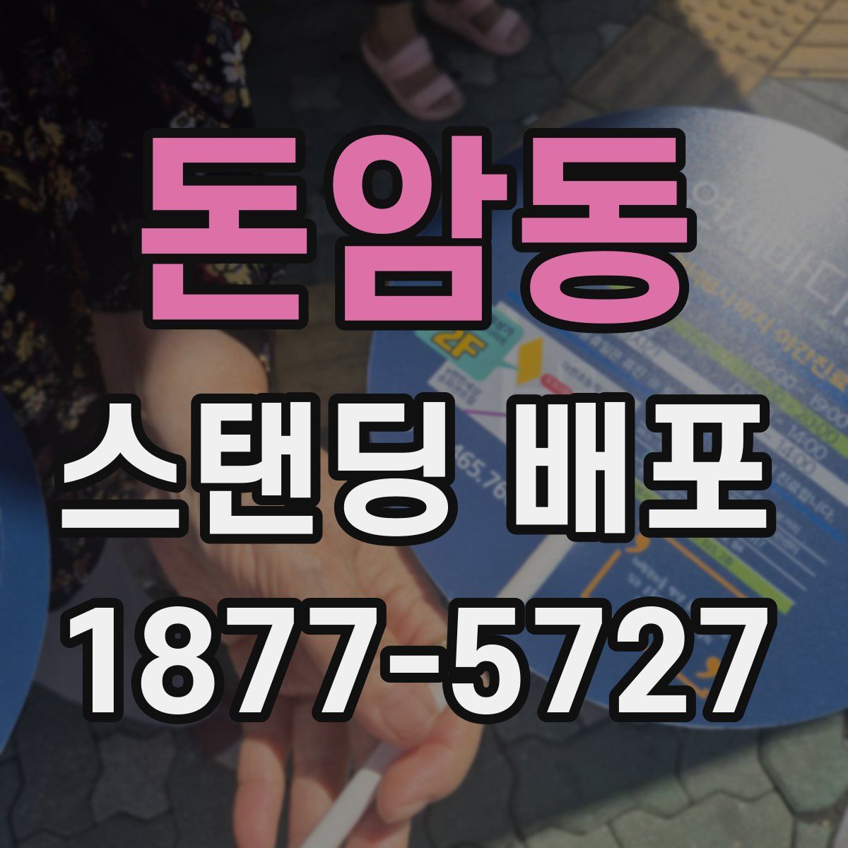 돈암동 스탠딩 배포