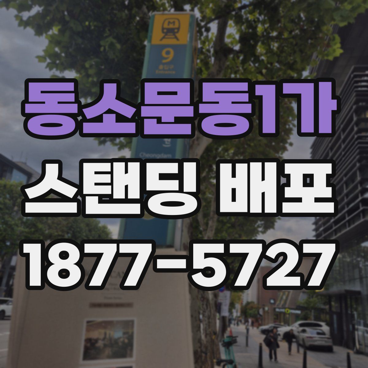 동소문동1가 스탠딩 배포